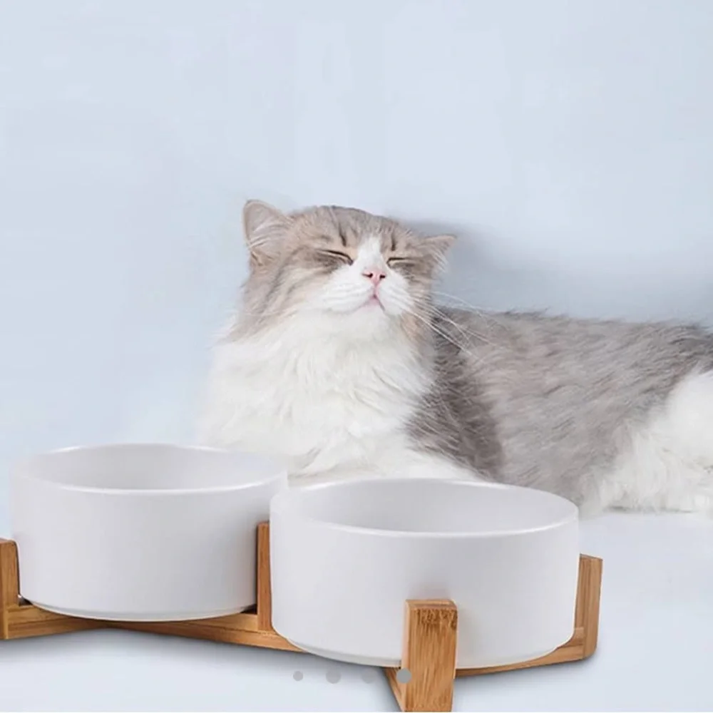 SPUNKYJUNKY Dog and Cat Ceramic Pet Bowls with Wood Stand
